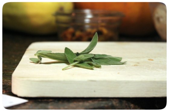 Sage for Crostinis