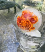 Floral Ice Cubes