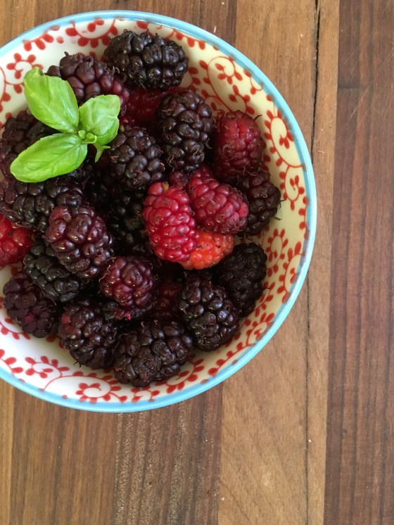 Mulberries Aprons & Stilettos