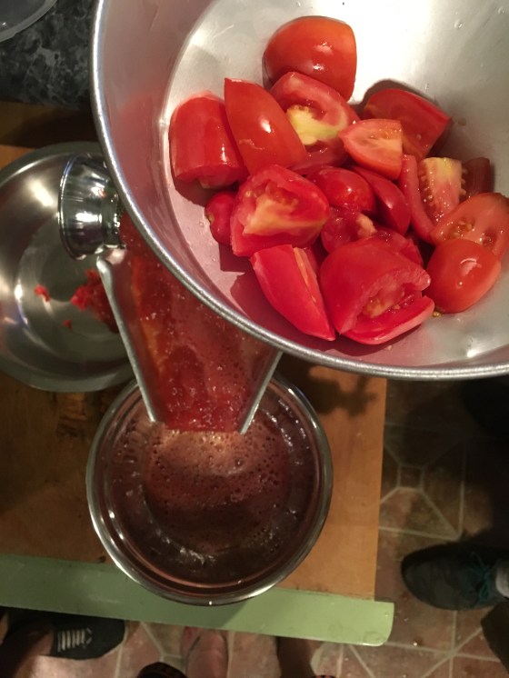 Creekview Tomato Strainer